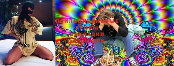 мдма Каменка